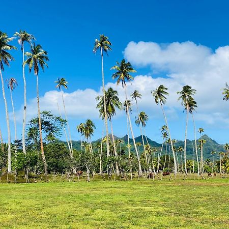 Huahine Serenity Cottage Maroe Exterior foto